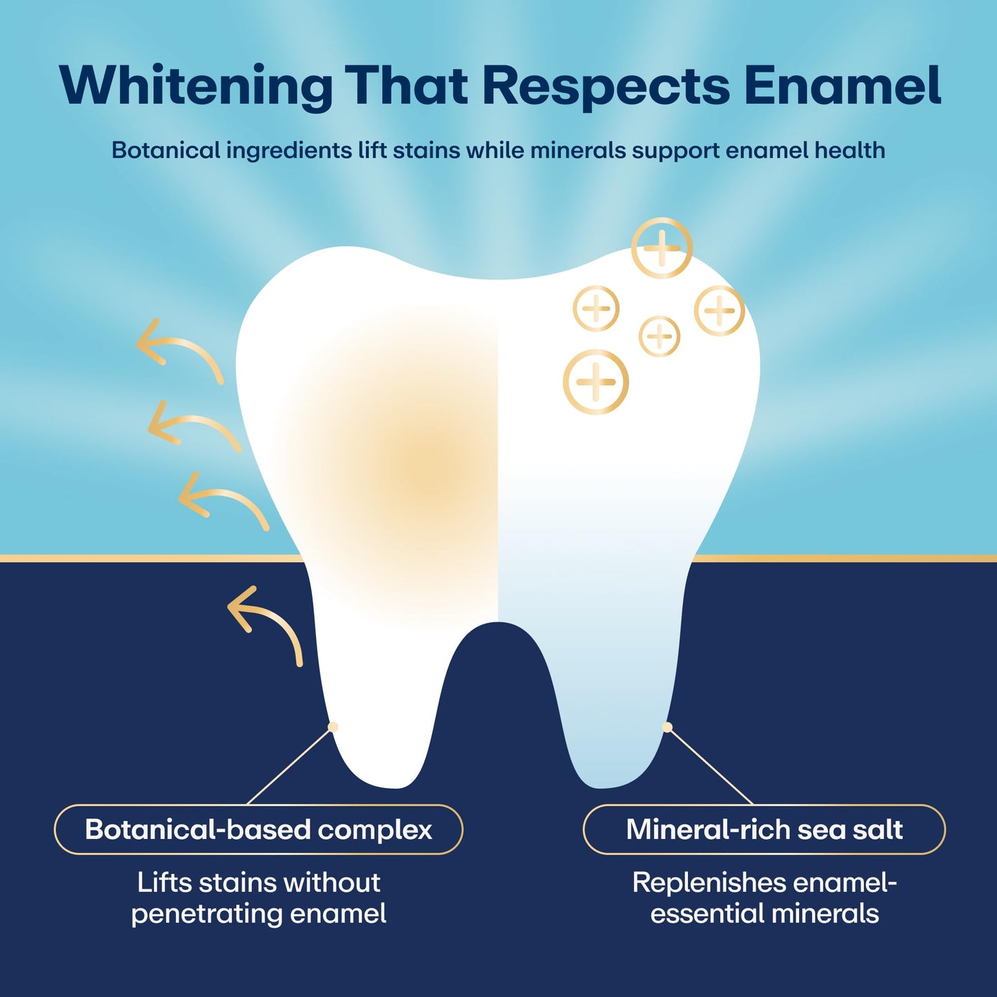Lumineux Teeth Whitening Strips - 35 Treatments (6 Months) – Peroxide Free - Enamel Safe for Whiter Teeth - Whitening Without The Sensitivity - Dentist Formulated - Sensitivity Free