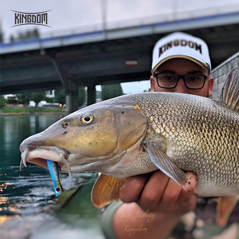 Kingdom Floating Lure Hard Baits Topwater Popper Swimbait Bass Crankbaits for Freshwater and Saltwater(Total 5 Set/180g, Every Set: 5.11in,1.26oz,130mm)