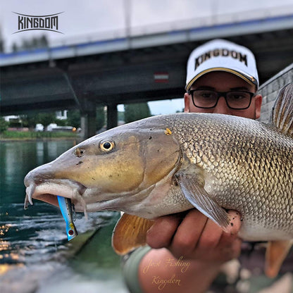 Kingdom Floating Lure Hard Baits Topwater Popper Swimbait Bass Crankbaits for Freshwater and Saltwater(Total 5 Set/180g, Every Set: 5.11in,1.26oz,130mm)