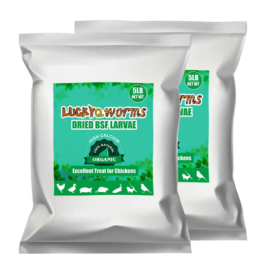 LuckyQworms Dried Black Solidier Fly Larvae 10LBS, 85X More Calcium Than Mealworms High-Protein BSF Larvae Chicken Treats Non-GMO BSFL for Chickens, Hens, Ducks, Wild Birds