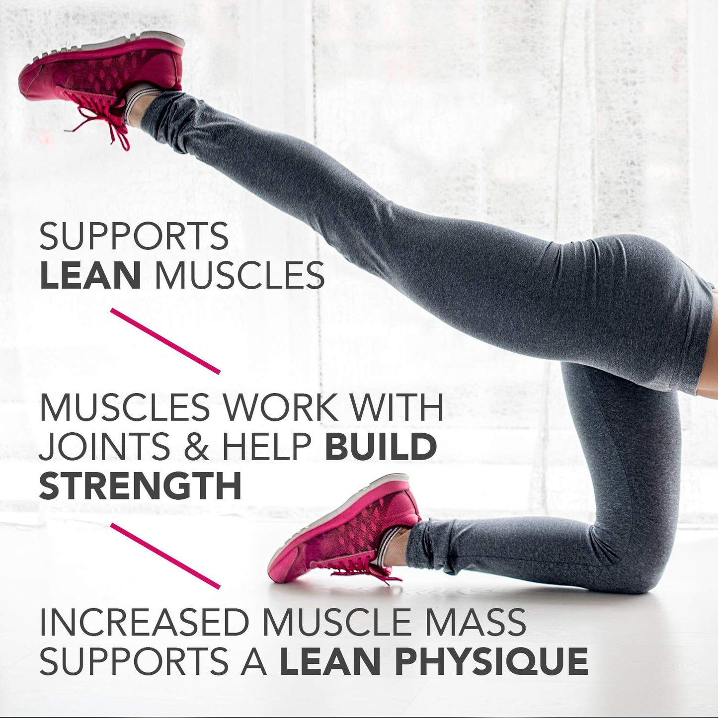 Pure Protein Bars, High Protein, Nutritious Snacks to Support Energy, Low Sugar, Gluten Free, Chocolate Peanut Caramel, 1.76oz, 12 Count (Pack of 1) (Packaging May Vary)