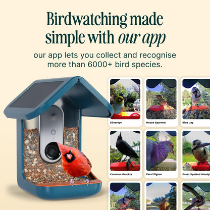Birdbuddy PRO Solar Smart Bird Feeder with Camera - AI Bird Species Identification, 5MP Photos, 2K HD Video Live Stream Camera, Slow-Motion Video, 2.6in Focus - Blue Solar