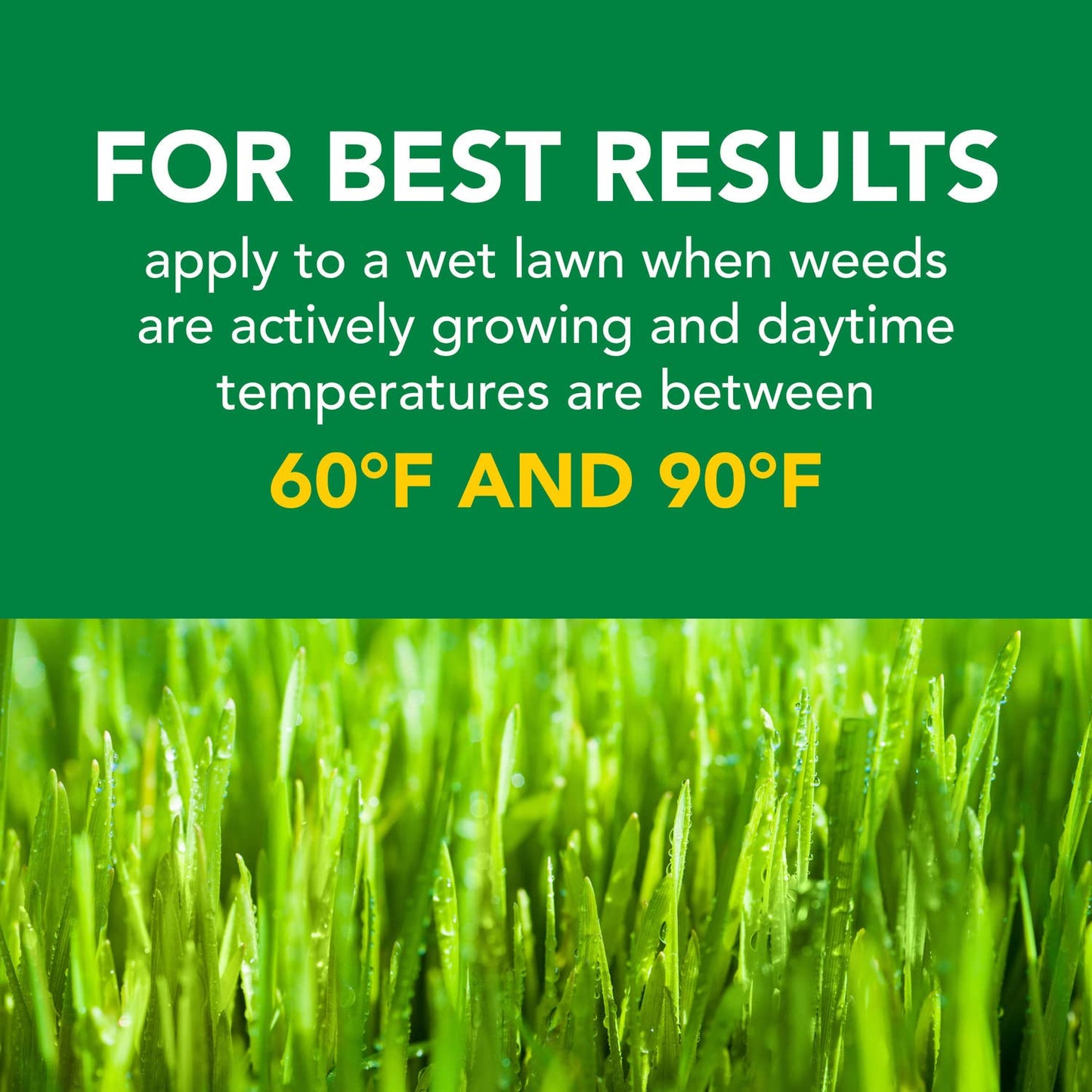 Scotts Turf Builder Weed & Feed3, Weed Killer Plus Lawn Fertilizer, Controls Dandelion and Clover, 15,000 sq. ft., 42.87 lbs.