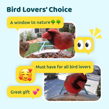 NETVUE Birdfy AI Smart Bird Feeder Camera Solar Powered, AI Auto Capture Bird Videos & Identify 6000+ Bird Species, Cloud Storage & Birdwatching On Live, Ideal Present (Sky Blue)