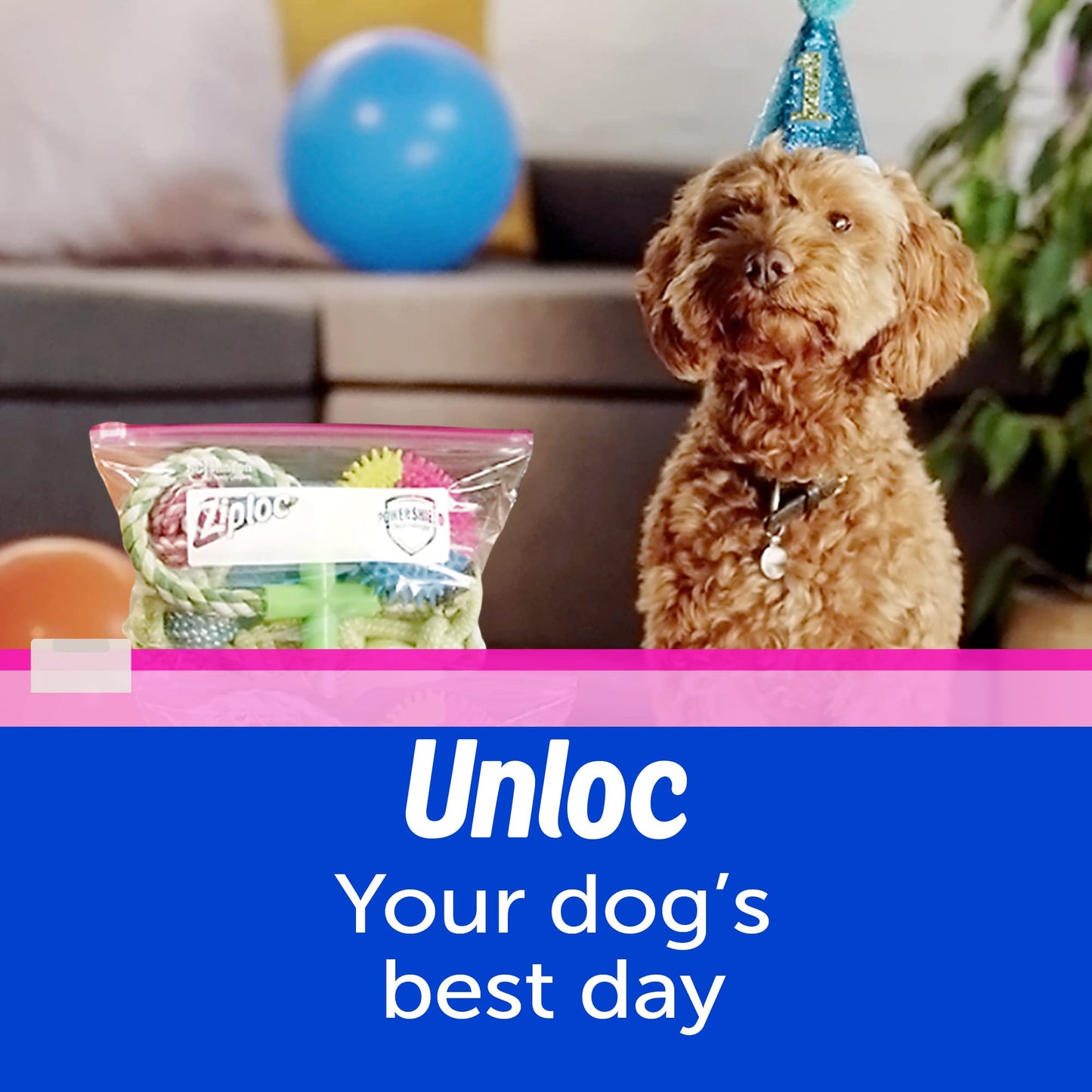 Ziploc Gallon Food Storage Slider Bags, Power Shield Technology for More Durability, 68 Count