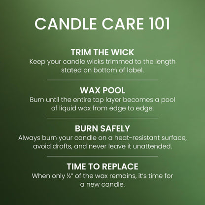 Yankee Candle, Balsam & Cedar Fall Scented Candle, 22oz Large Jar with up to 150 Hour Burn Time