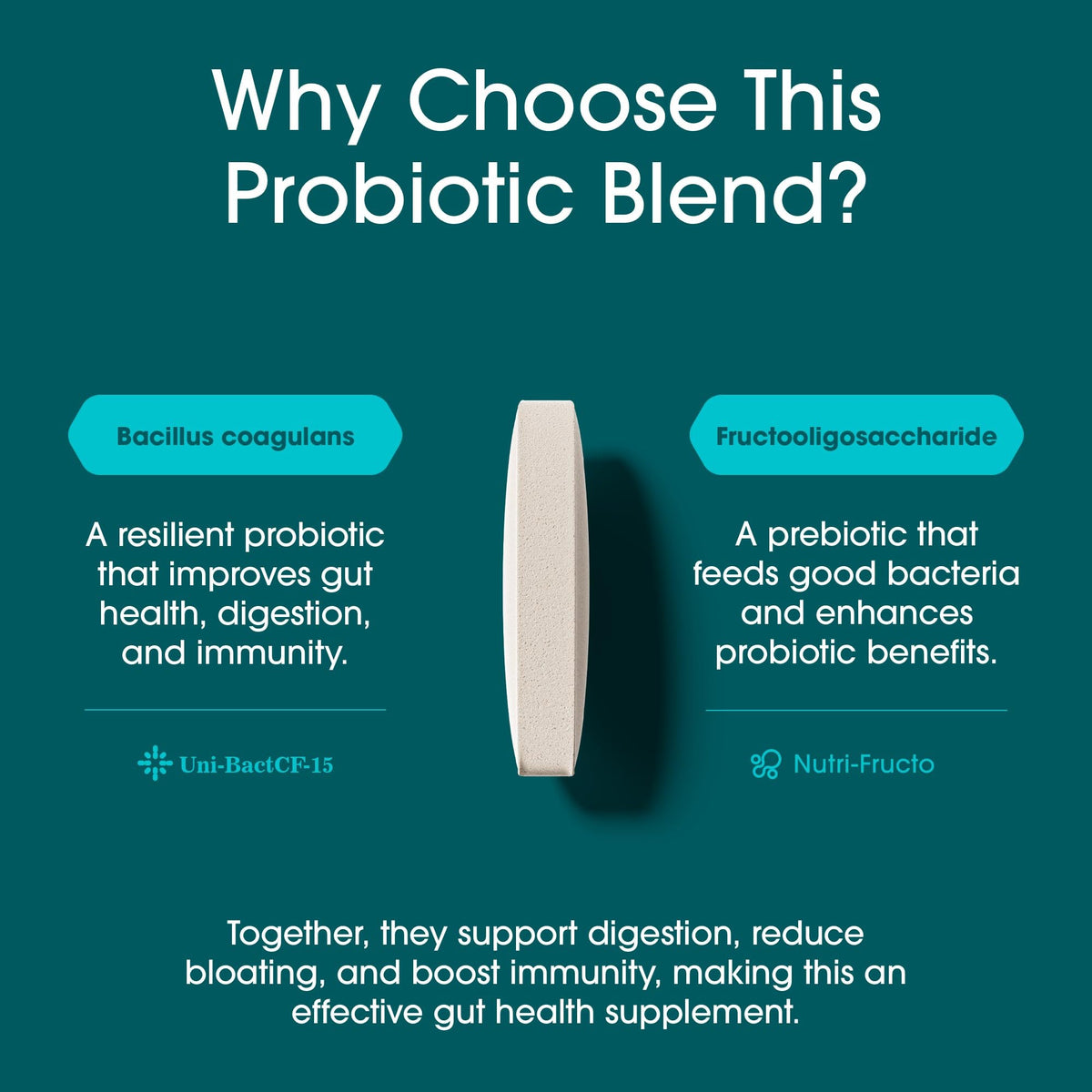 Nutrition Essentials GMP Certified Probiotic Dietary Supplement 6 Bottles 360 Capsules