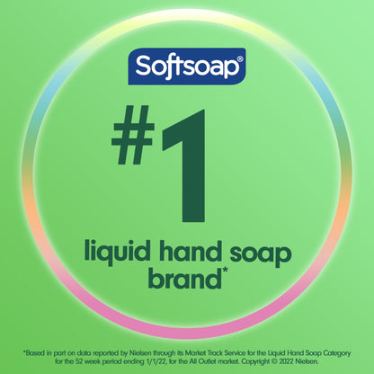 Softsoap Moisturizing Liquid Hand Soap, Soothing Clean Aloe Vera - 7.5 Fl Oz (Pack of 6)