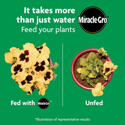 Miracle-Gro Shake 'N Feed All Purpose Plant Food, For In-Ground and Container Plants, Feeds for up to 3 Months, 4.5 lbs.