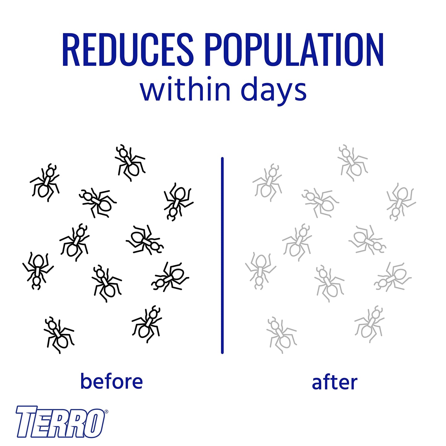 TERRO T300B Indoor Liquid Ant Killer , 12 Bait Stations