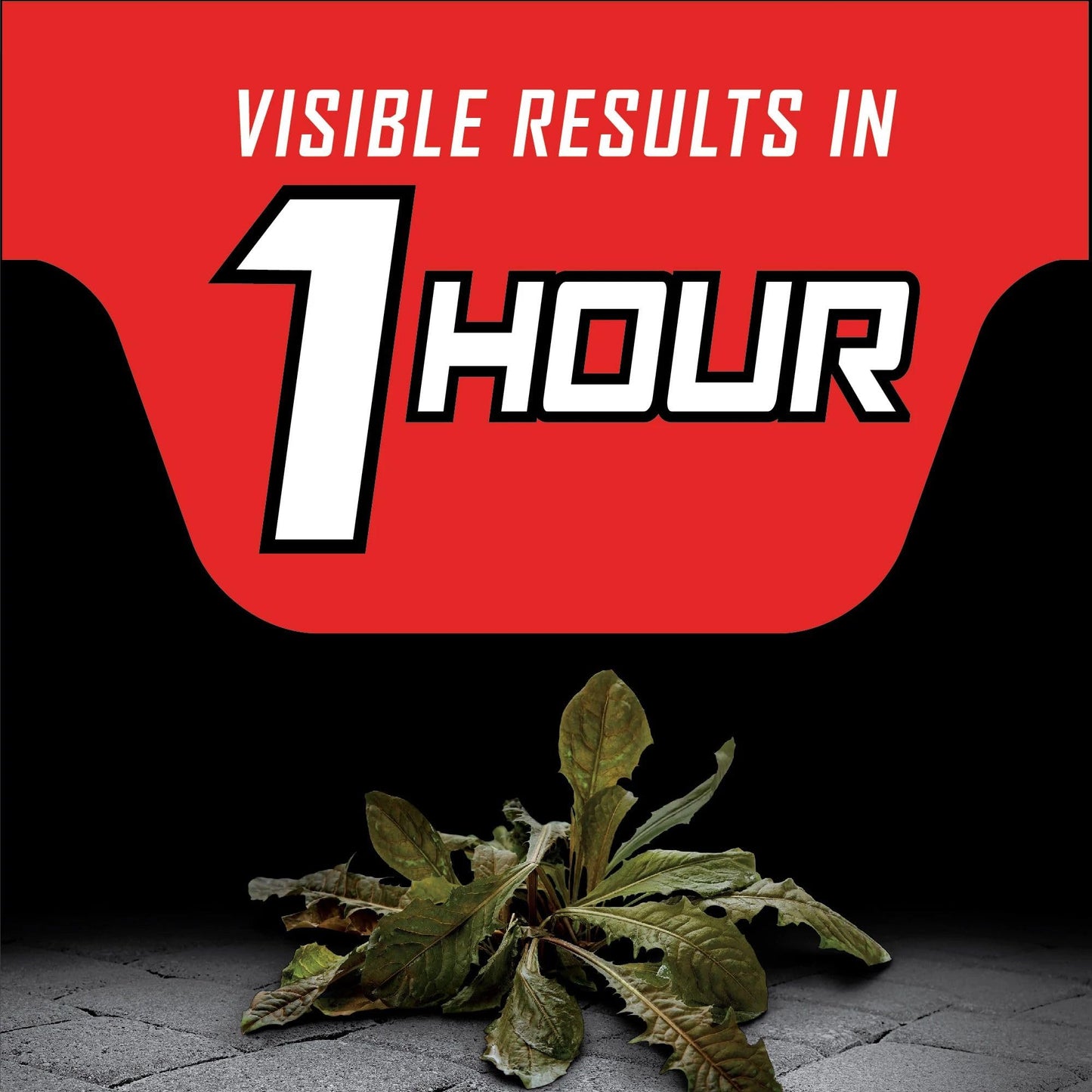 Ortho GroundClear Year Long Vegetation Killer2 Concentrate, Kills and Prevents Weeds Up to 12 Months, 1 gal.