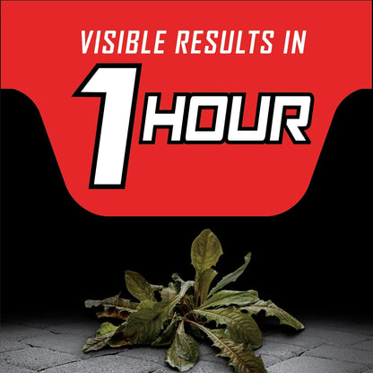 Ortho GroundClear Year Long Vegetation Killer2 Concentrate, Kills and Prevents Weeds Up to 12 Months, 1 gal.