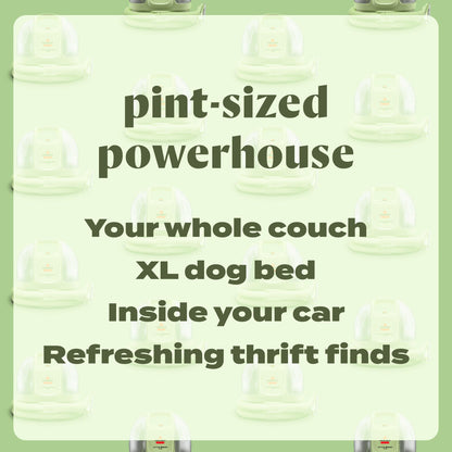 BISSELL Little Green Mini Portable Carpet and Upholstery Deep Cleaner, Car/Auto Detailer, with HydroRinse Self-Cleaning Tool and 4" Tough Stain Tool, Tea Green, 4075