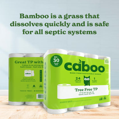 Caboo Tree Free Toilet Paper, Septic Safe Toilet Tissue, Chemical Free, Non Toxic, 2 Ply Bathroom Toilet Paper | Pack of 24 Double Rolls, 300 Sheets Per Roll