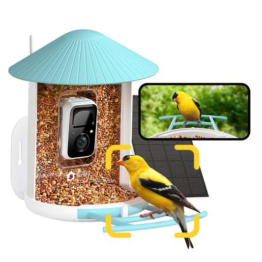 NETVUE Birdfy AI Smart Bird Feeder Camera Solar Powered, AI Auto Capture Bird Videos & Identify 6000+ Bird Species, Cloud Storage & Birdwatching On Live, Ideal Present (Sky Blue)