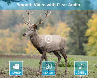 GardePro E5S Trail Camera 2 Pack, 64MP 1296p, Game Cameras with 100ft No Glow Night Vision Motion Activated Waterproof for Deer Wildlife Cam, Hunting
