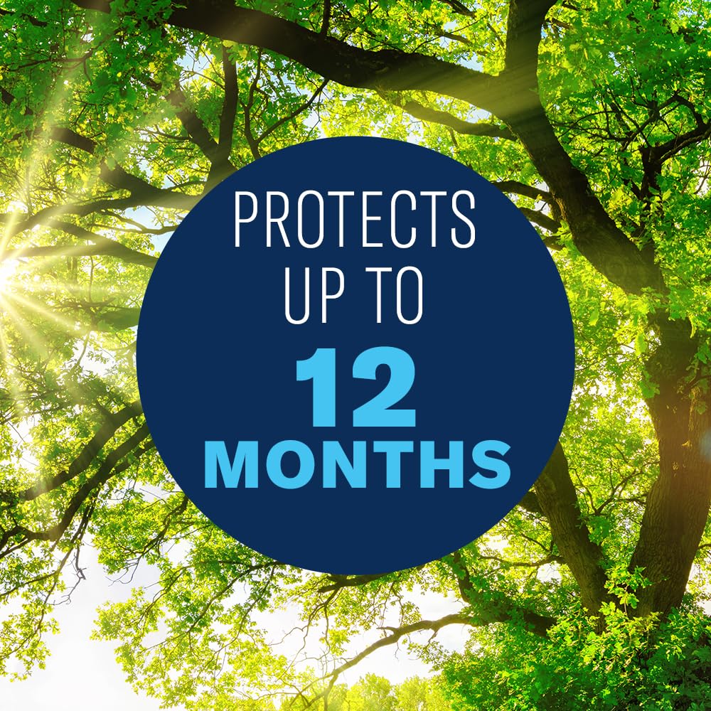 BIOADVANCED 12-Month Tree and Shrub Protect and Feed, Insect Killer and Fertilizer, 1-Gallon, Concentrate 701915A