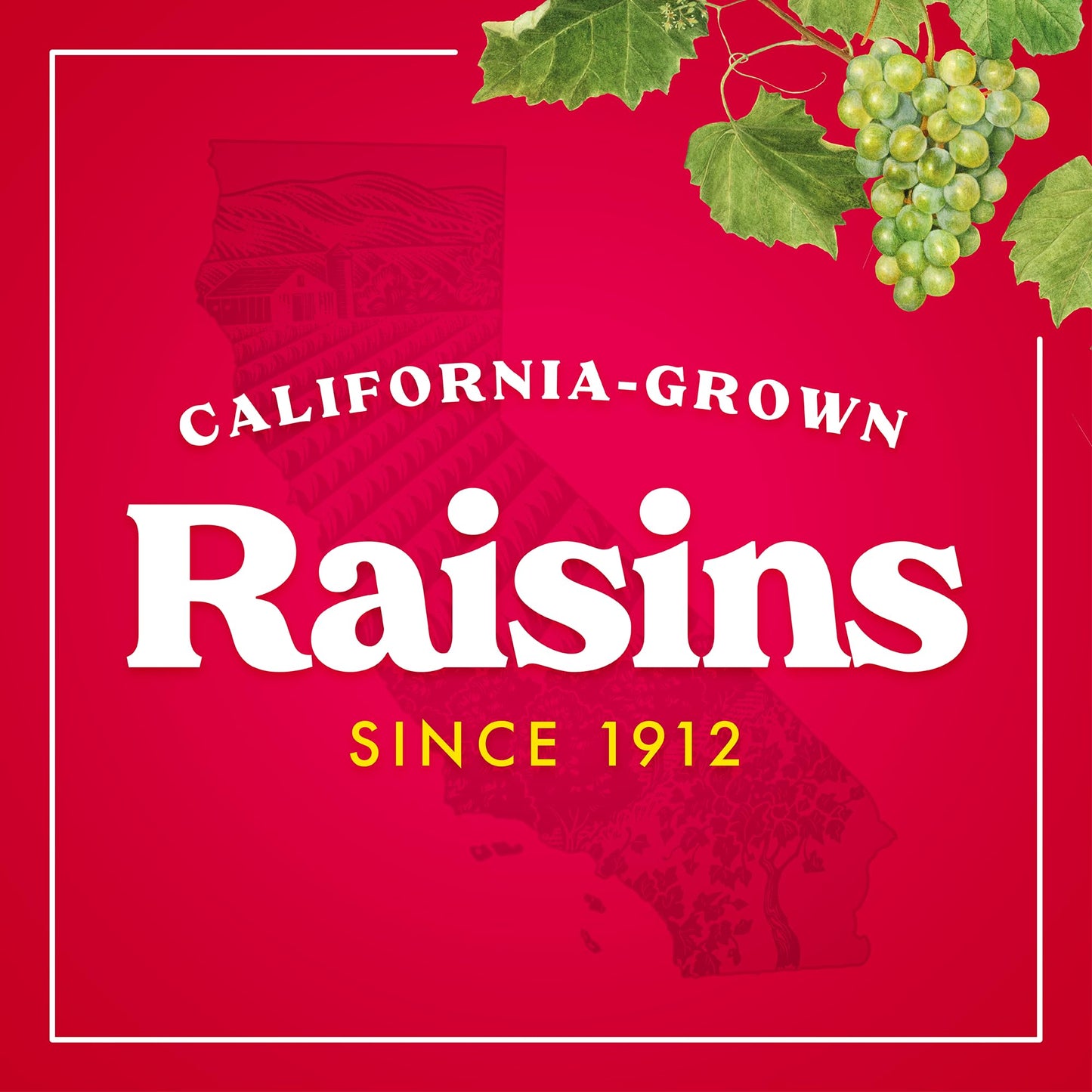 Sun-Maid Vanilla Yogurt Coated Raisins - (6 Pack) 1 oz Snack-Size Box - Yogurt Covered Dried Fruit Snack for Lunches and Snacks