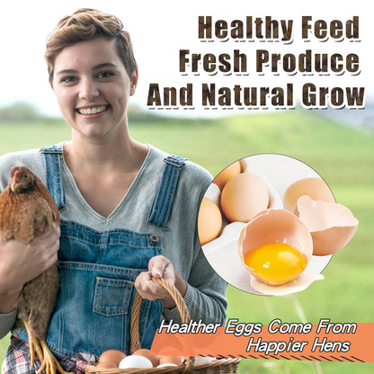 LuckyQworms Dried Black Solidier Fly Larvae 10LBS, 85X More Calcium Than Mealworms High-Protein BSF Larvae Chicken Treats Non-GMO BSFL for Chickens, Hens, Ducks, Wild Birds