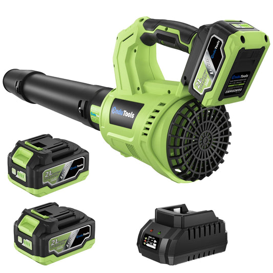 EnduTools Leaf Blower Cordless - 650 CFM 150 MPH Electric Leaf Blower with 2 x 4.0Ah Batteries & Fast Charger, 2-Speed Settings, Lightweight Blower for Lawn, Yard, Leaves, Dust, and Snow Care (Green)