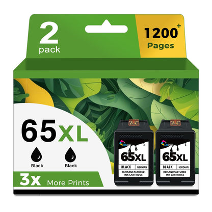 65XL Black Ink Cartridge Replacement for HP Ink 65 HP65 XL HP65XL for 5000 5055 3755 3700 3772 3722 2600 2622 3752 2652 2655 2640 5052 5010 Printer (2 Pack)