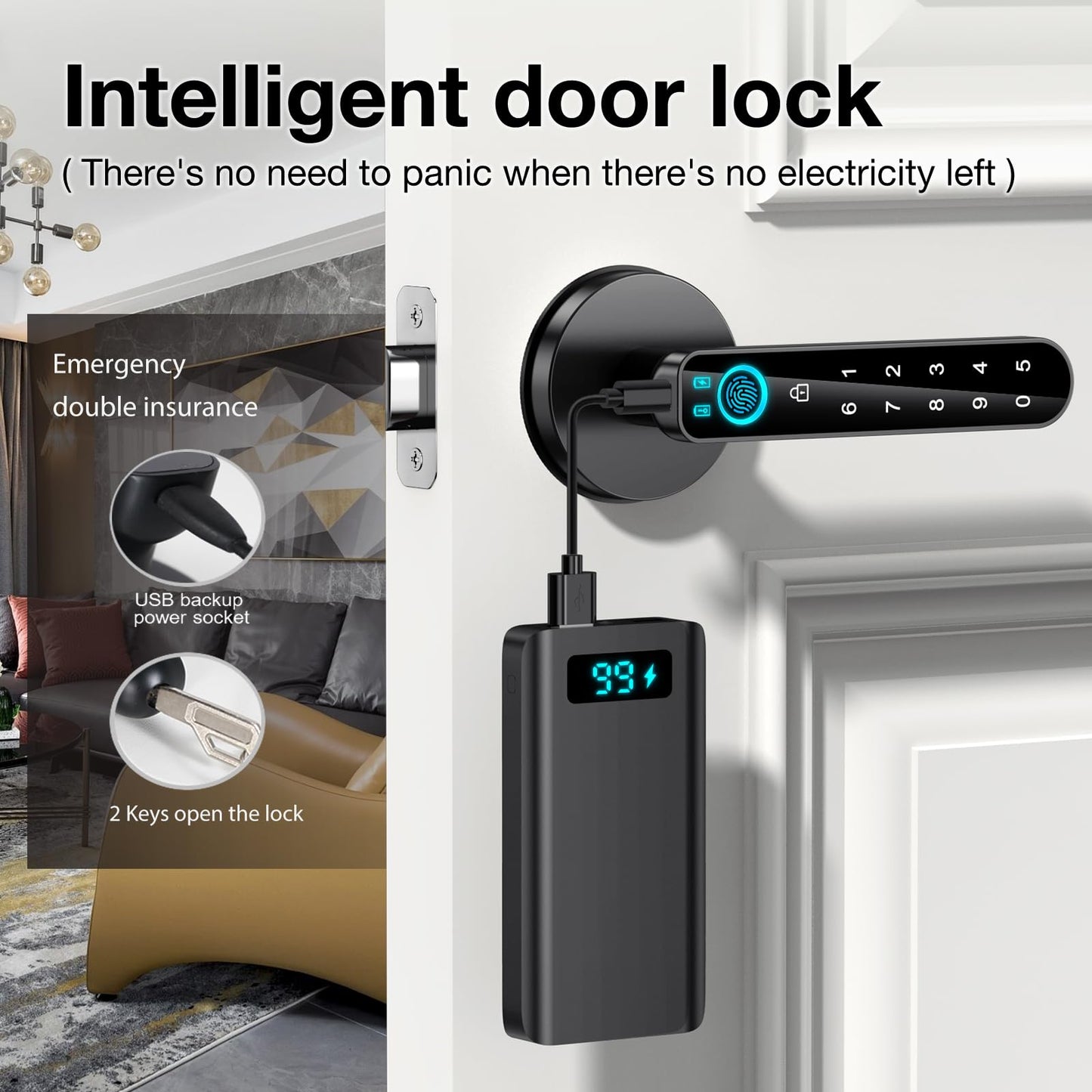 Fingerprint Door Lock- Smart Door knob,biometric Door Lock，with passcode keypad keyless Entry Door Handle，for Bedroom Home Hotel Office Apartment (Black with APP)