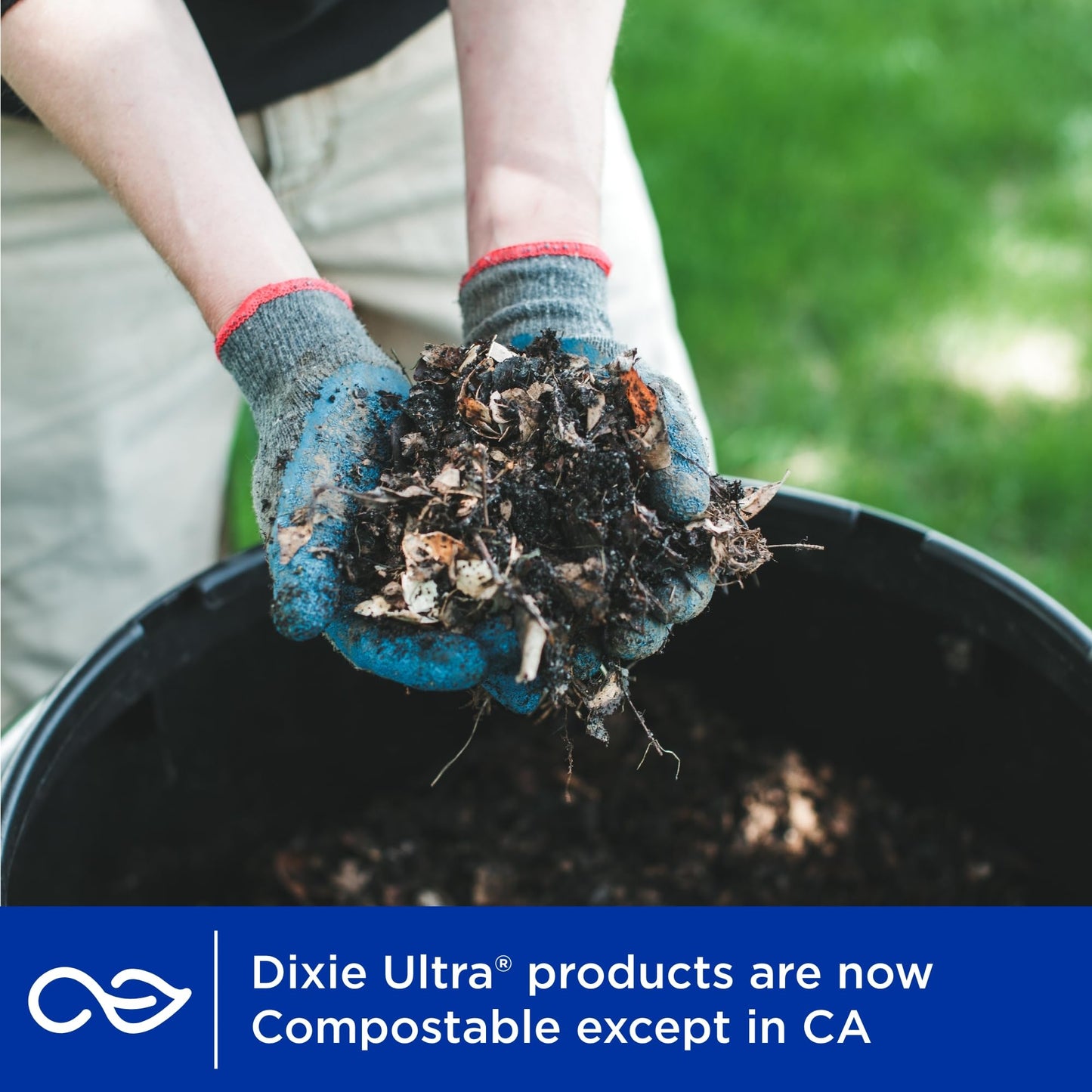 Dixie Ultra, Large Paper Plates, 10 Inch, 43 Count (Pack of 4), 3X Stronger*, Heavy Duty, Microwave-Safe, Soak-Proof, Cut Resistant, Disposable Plates For Heavy, Messy Meals