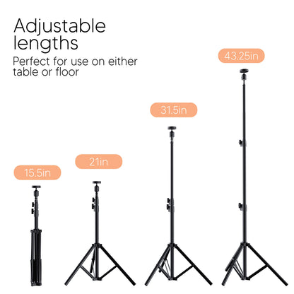 TalkWorks 10'' Selfie Ring Light with Phone Holder Tripod Stand - 3 Color Modes, USB Powered, Black