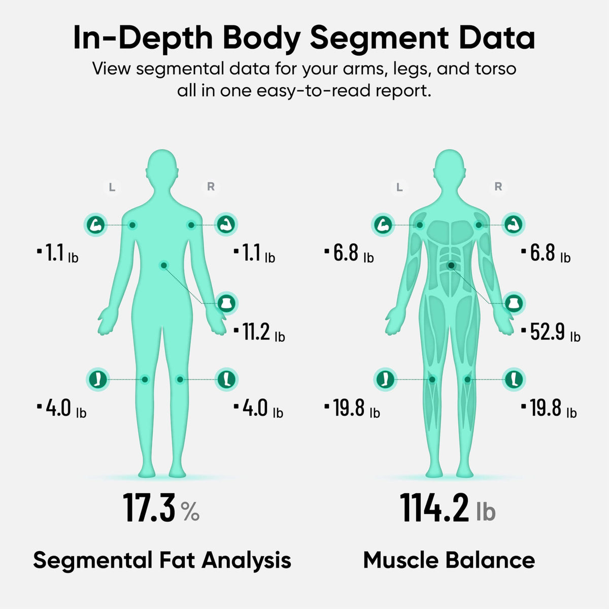 Wyze Scale Ultra BodyScan Smart Scale with Handle – Wi-Fi & Bluetooth Body Composition Scale for Weight, BMI, Body Fat, Muscle Mass, and Segmental Measurement, Black