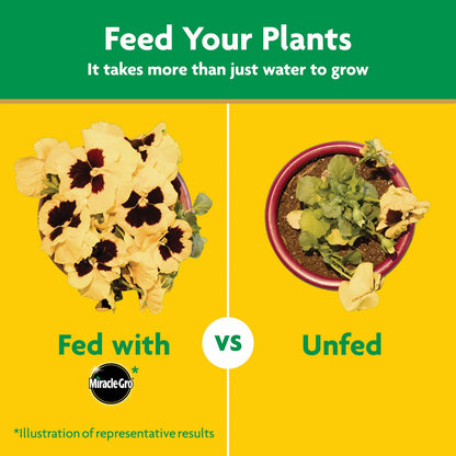 Miracle-Gro Water Soluble All Purpose Plant Food, Fertilizer for Indoor or Outdoor Flowers, Vegetables or Trees, 3 lbs.