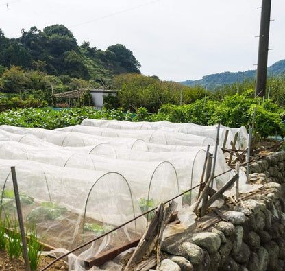 Garden Netting Pest Barrier: 10'x20' Fine Bug Netting for Garden Protection Row Cover Raised Bed Screen Mesh Greenhouse Mosquito Net, Protecting Tree Plants Vegetable Flowers Fruits