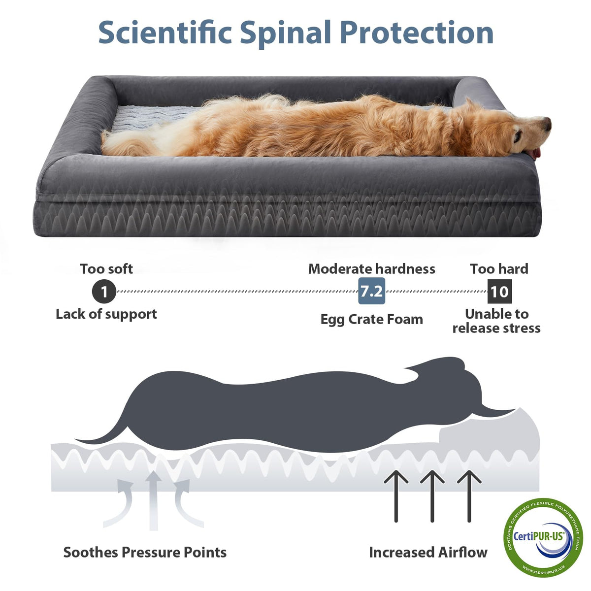 WNPETHOME Washable Extra Large Dog Bed, XXXXL Dog Couch, Orthopedic Pet Sofa Bed with Removable & Waterproof Cover, Giant Pet Couch with Sides