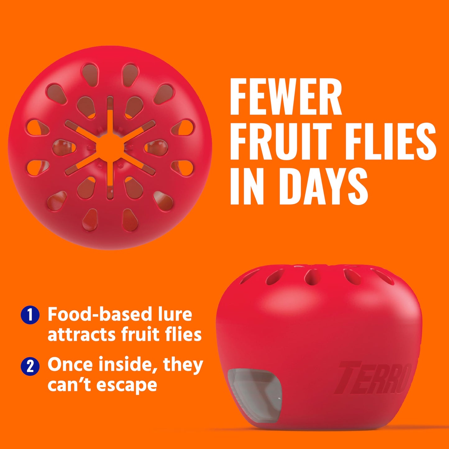 Terro Fruit Fly Traps for Indoors (6 Pack) + 270 Days of Lure Supply