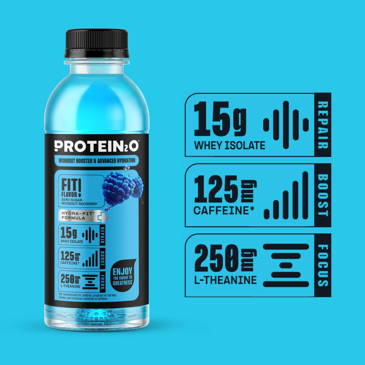 Protein2o 15g Whey Protein Isolate Hydration Drink Plus Energy & Focus, 350mg of Electrolytes, 125mg of Caffeine, Sugar Free, Blue Raspberry, 16.9 oz Bottle (Pack of 12)
