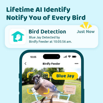 NETVUE Birdfy AI Smart Bird Feeder Camera Solar Powered, AI Auto Capture Bird Videos & Identify 6000+ Bird Species, Cloud Storage & Birdwatching On Live, Ideal Present (Sky Blue)