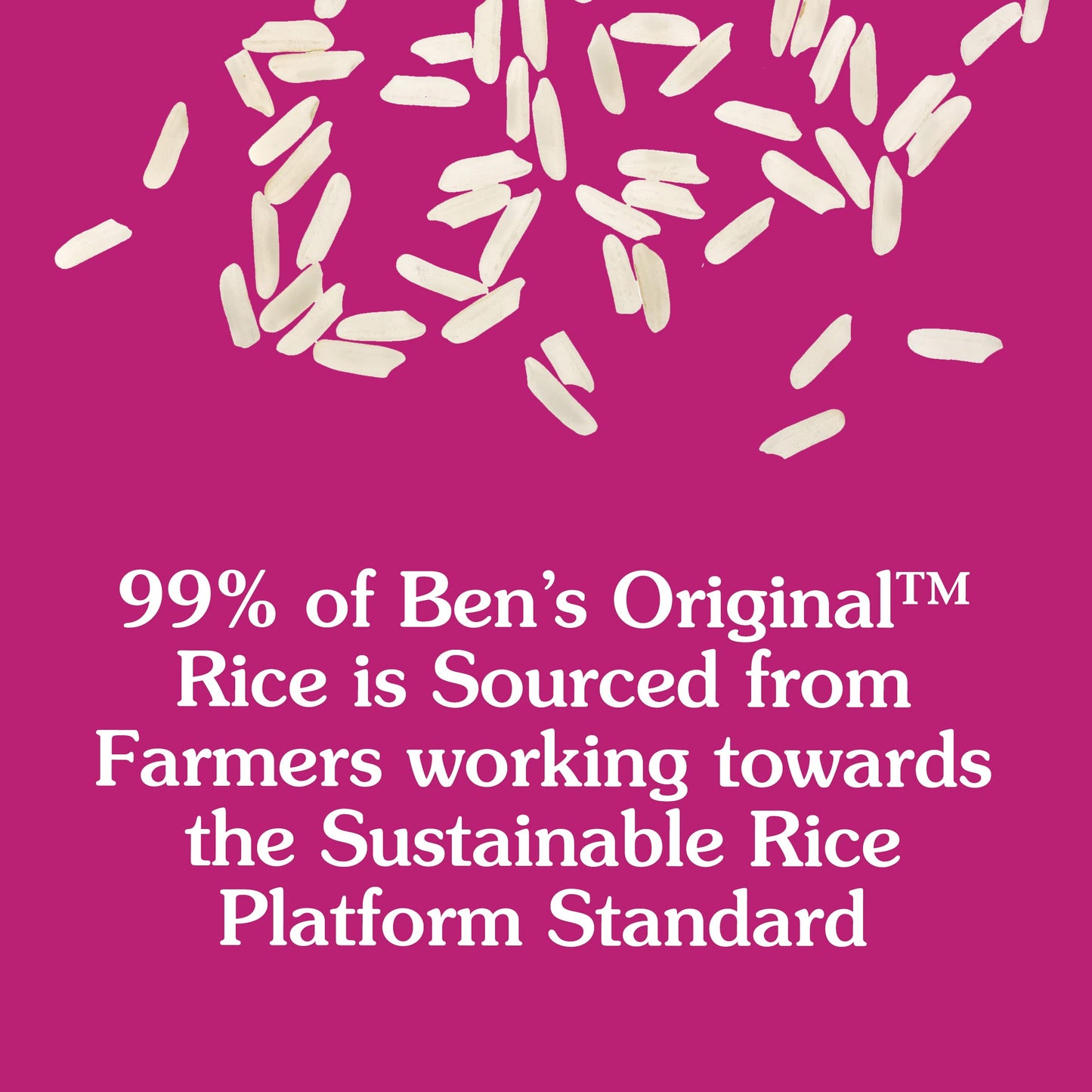 BEN'S ORIGINAL Ready Rice Basmati Rice, Easy Side Dish, 8.5 oz Pouch (Pack of 6)