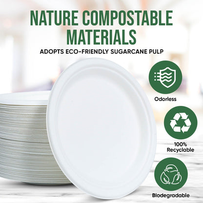 TaidMiao Paper Plates 9 Inches, 100 Pack Disposable Plates For Party – 100% Compostable Plates, Water & Oil Proof Paper Plates, Microwavable Paper Plates Bulk - White