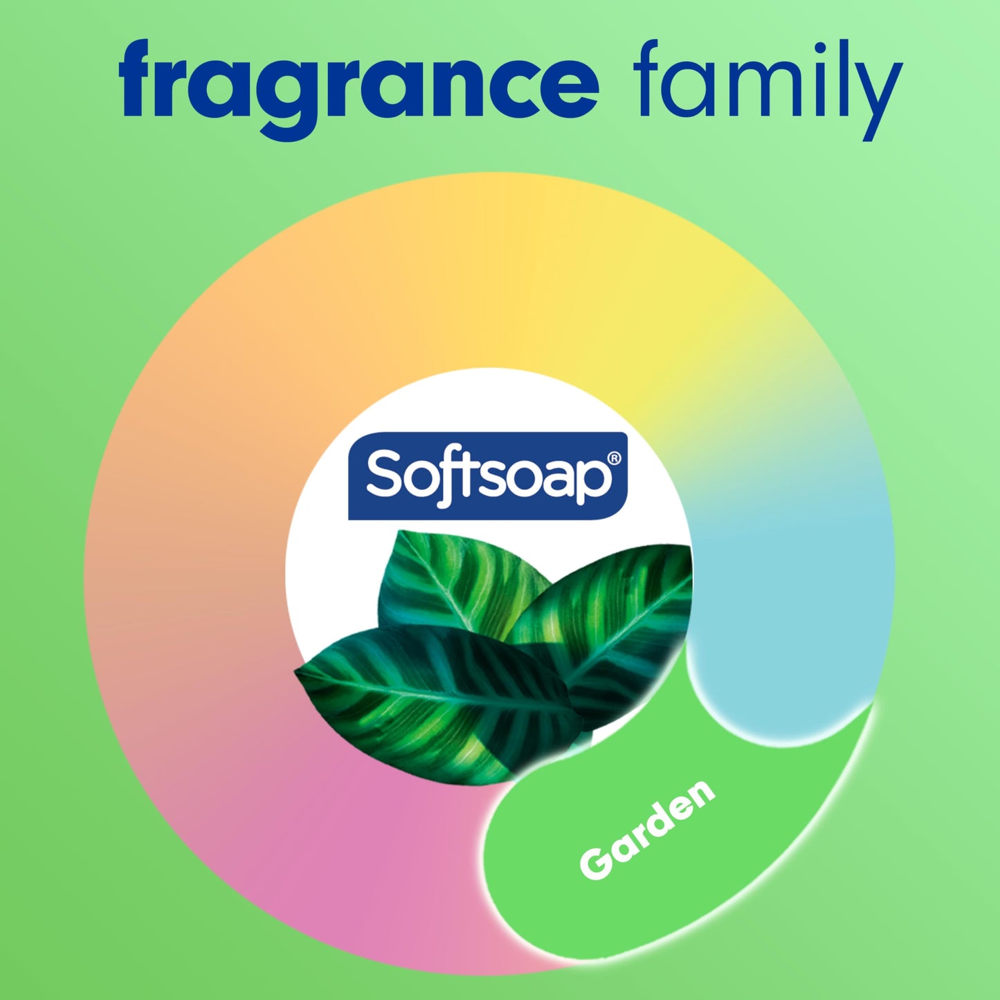 Softsoap Moisturizing Liquid Hand Soap, Soothing Clean Aloe Vera - 7.5 Fl Oz (Pack of 6)