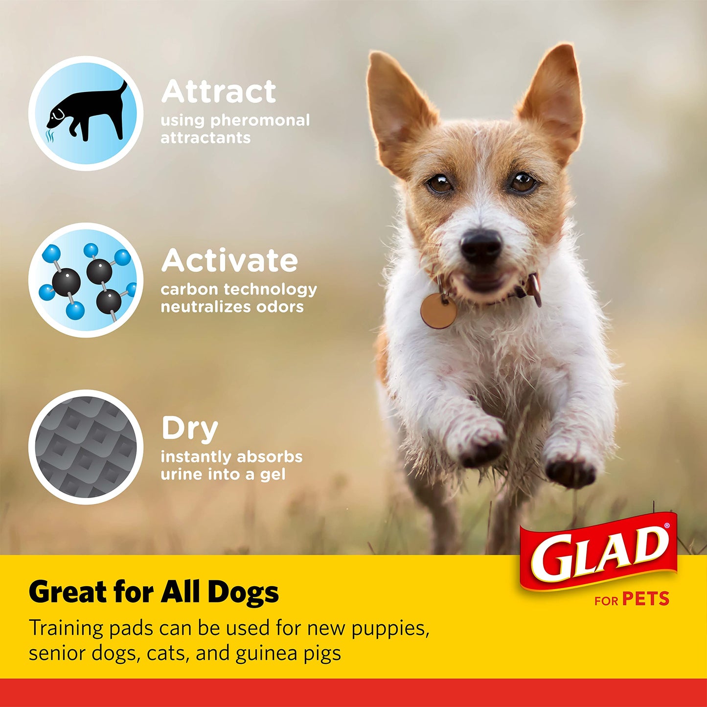 Glad for Pets Black Charcoal Puppy Pads 23" x 23" AllinOne Puppy Potty Training Pads That ABSORB & NEUTRALIZE Urine Instantly New & Improved Quality Puppy Pee Pads, (Pack of 1, 100 Count Total)