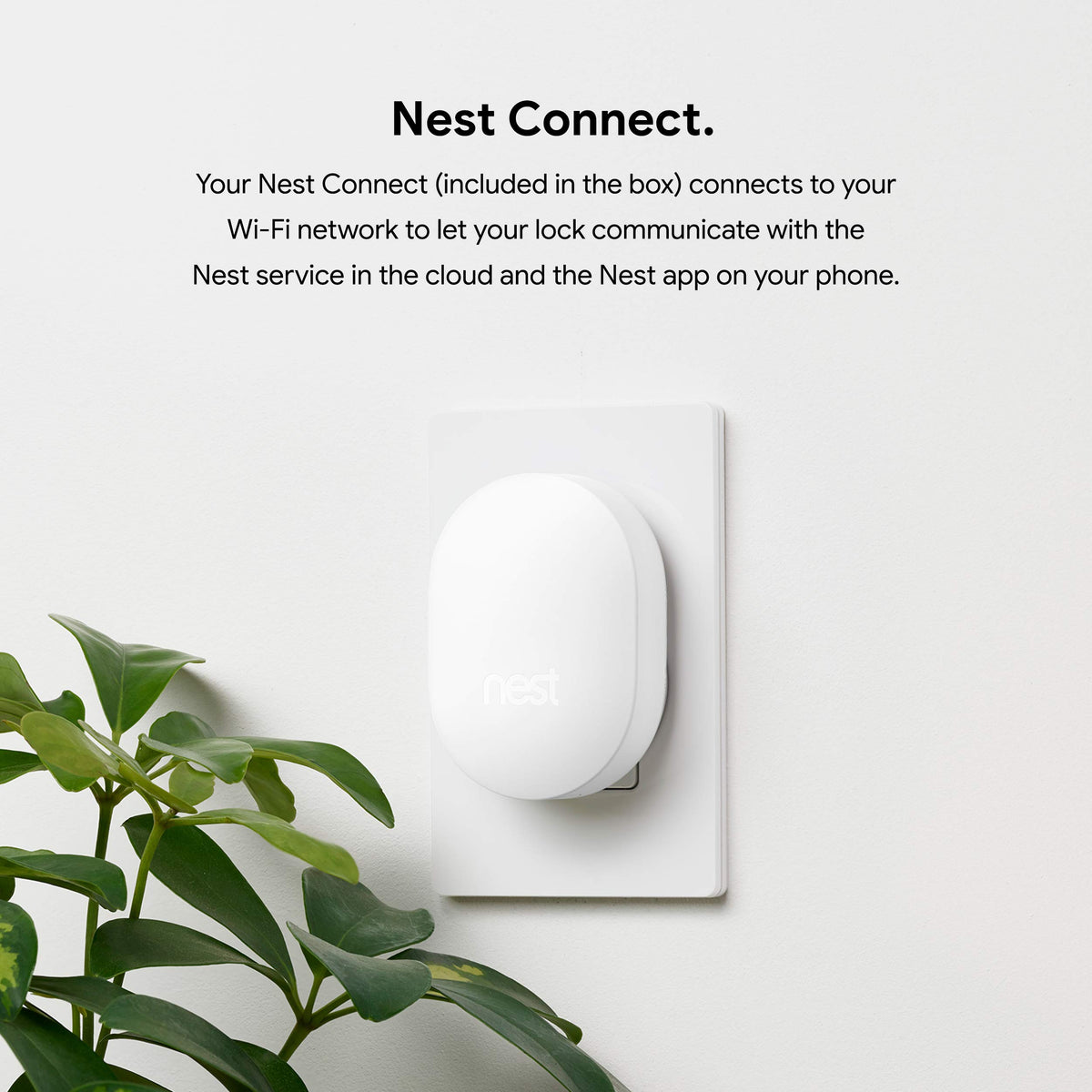 Google Nest x Yale Lock - Tamper-Proof Smart Lock for Keyless Entry - Keypad Deadbolt Lock for Front Door - Satin Nickel