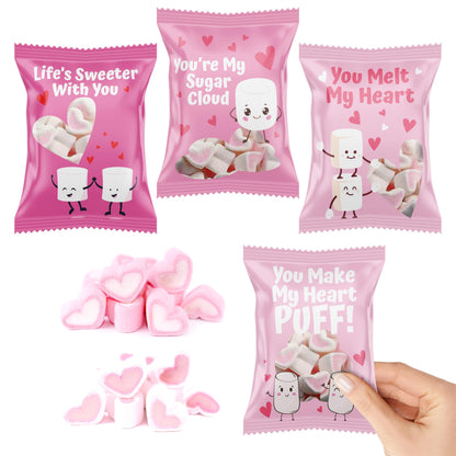 4E's Novelty Heart Marshmallows (24 Packs) Pink & White Valentine Marshmallows Mini Individually Wrapped for Hot Chocolate, Valentines Candy Bulk for Kids Classroom Exchange Party Favors
