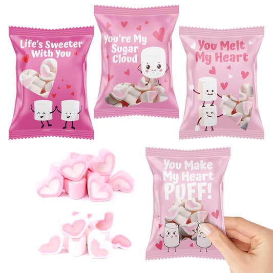 4E's Novelty Heart Marshmallows (24 Packs) Pink & White Valentine Marshmallows Mini Individually Wrapped for Hot Chocolate, Valentines Candy Bulk for Kids Classroom Exchange Party Favors
