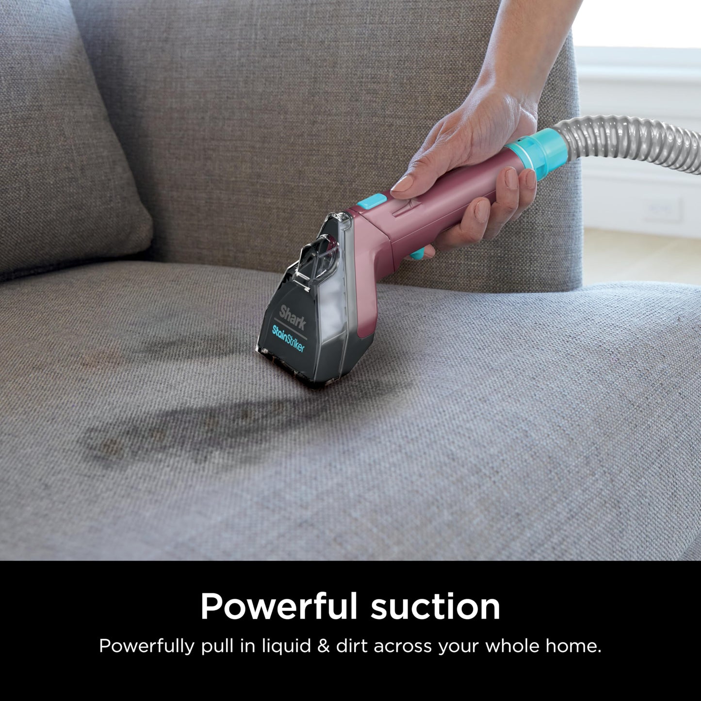 Shark Carpet Cleaner Machine, Portable Upholstery StainStriker, Spot, Odor & Stain Remover, 2 Carpet Cleaner Solutions, 3 Tools, Perfect for Pet Hair, Area Rugs, Couches, Burgundy, PX203BRN