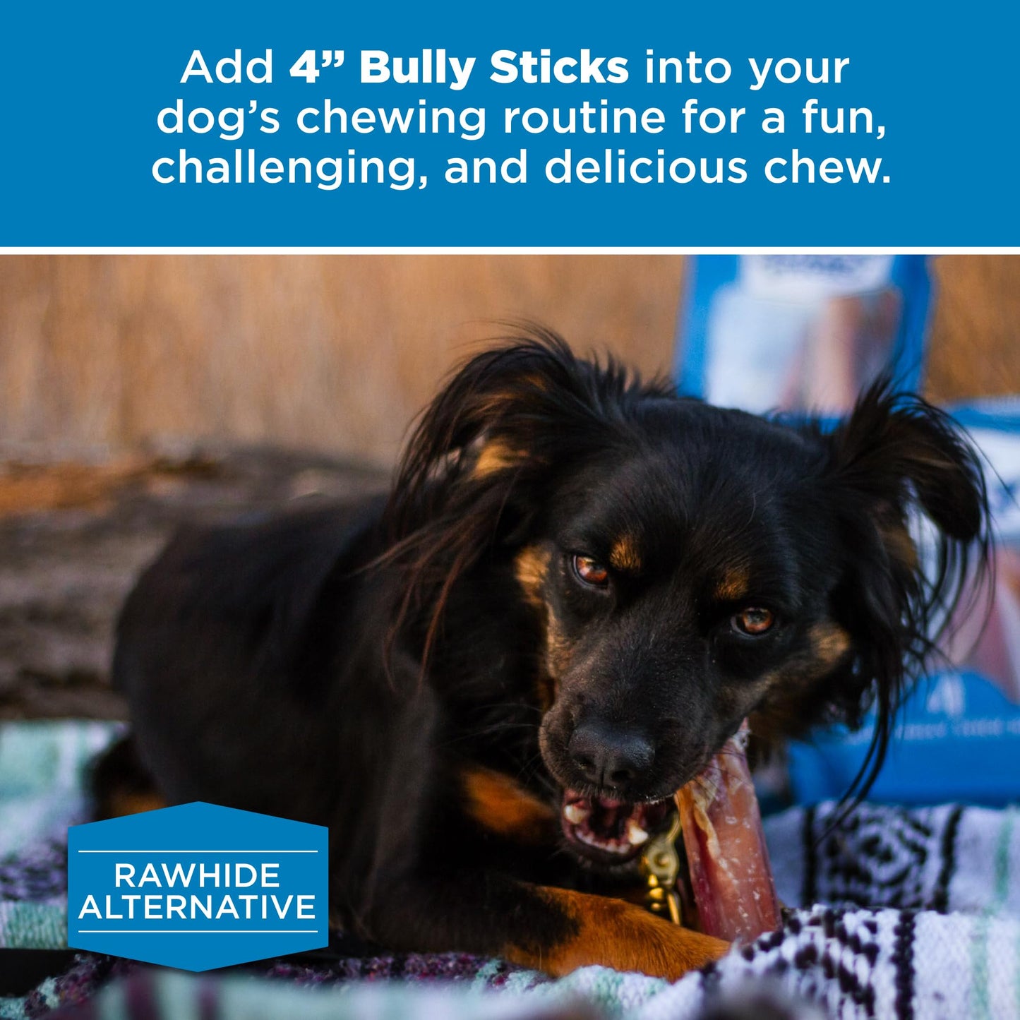 Best Bully Sticks 4 Inch Bully Sticks - 8 oz (Pack of 1) - 100% Natural Grass-Fed, Grain and Rawhide Free, Ideal for Small or Young Canines