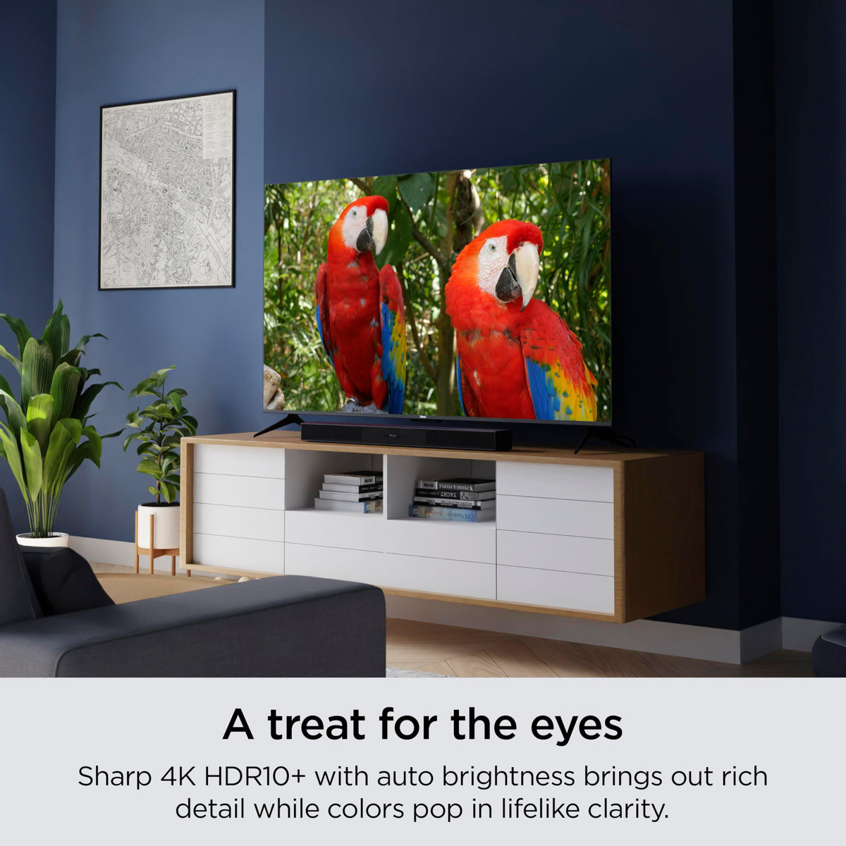 Roku Smart TV – 55-Inch Select Series 4K HDR RokuTV with Roku Enhanced Voice Remote, Brilliant 4K Picture, Automatic Brightness, & Seamless Streaming – Live Local News, Sports, Family Entertainment