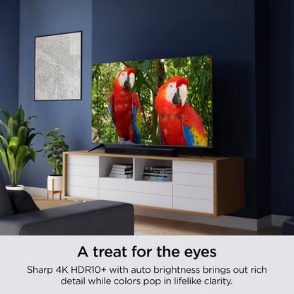 Roku Smart TV – 55-Inch Select Series 4K HDR RokuTV with Roku Enhanced Voice Remote, Brilliant 4K Picture, Automatic Brightness, & Seamless Streaming – Live Local News, Sports, Family Entertainment