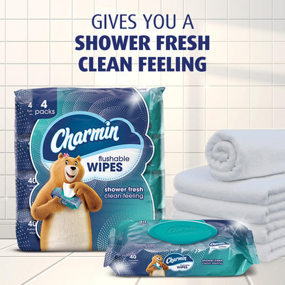 Charmin Flushable Wipes, 160 Total Wipes (4 Packs of 40)