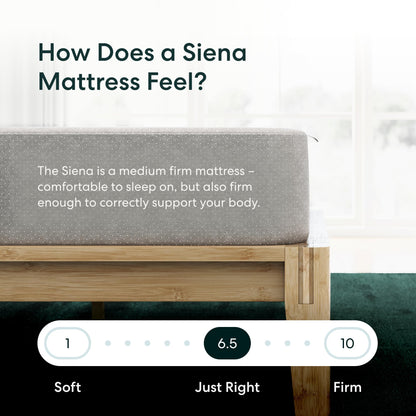 Siena 8” Twin Mattress - Gel Memory Foam - Medium Firm - 180 Night Trial - Premium Pressure-Relieving Layers - 10 Year Manufacturer Warranty - CertiPUR-US® Certified