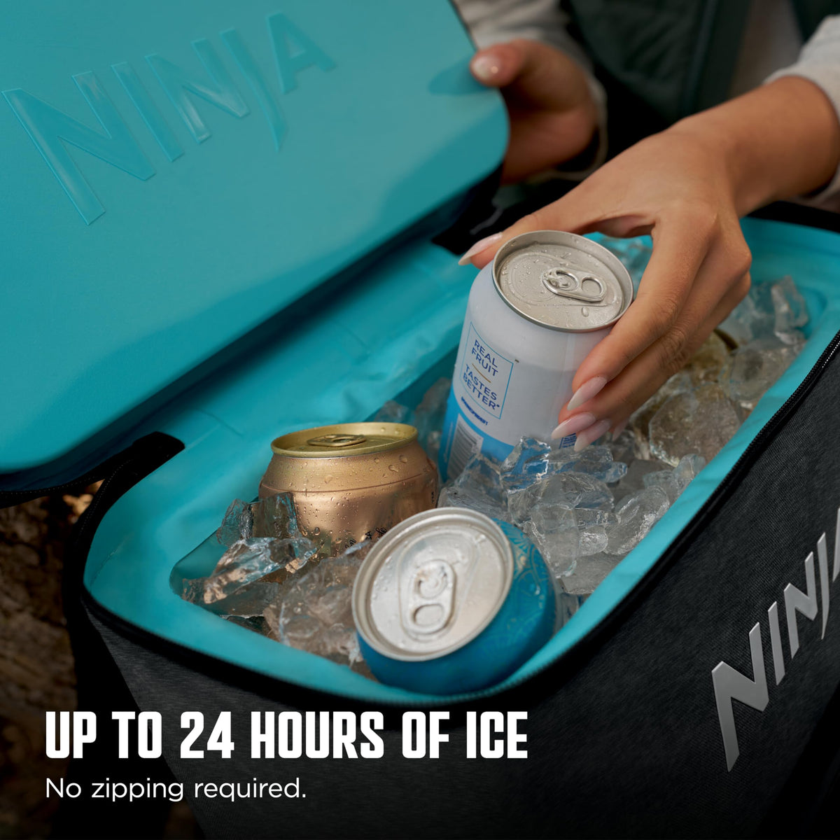 Ninja | Backpack Cooler | FrostVault Go 24 Can Soft Cooler | Leakproof Zipper with Built in Can Opener, 2 Ice Packs & Dry Storage Drawer | for Hiking, Camping & More | Charcoal Gray | FF124CG