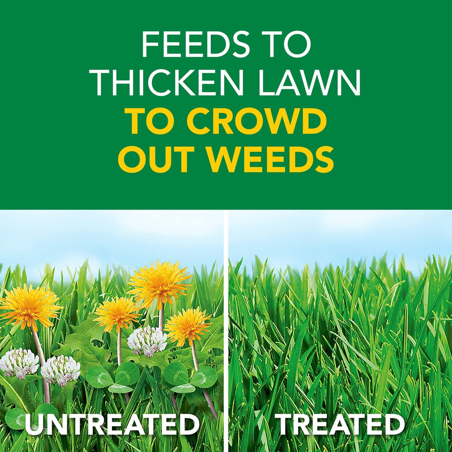 Scotts Turf Builder Weed & Feed3, Weed Killer Plus Lawn Fertilizer, Controls Dandelion and Clover, 15,000 sq. ft., 42.87 lbs.